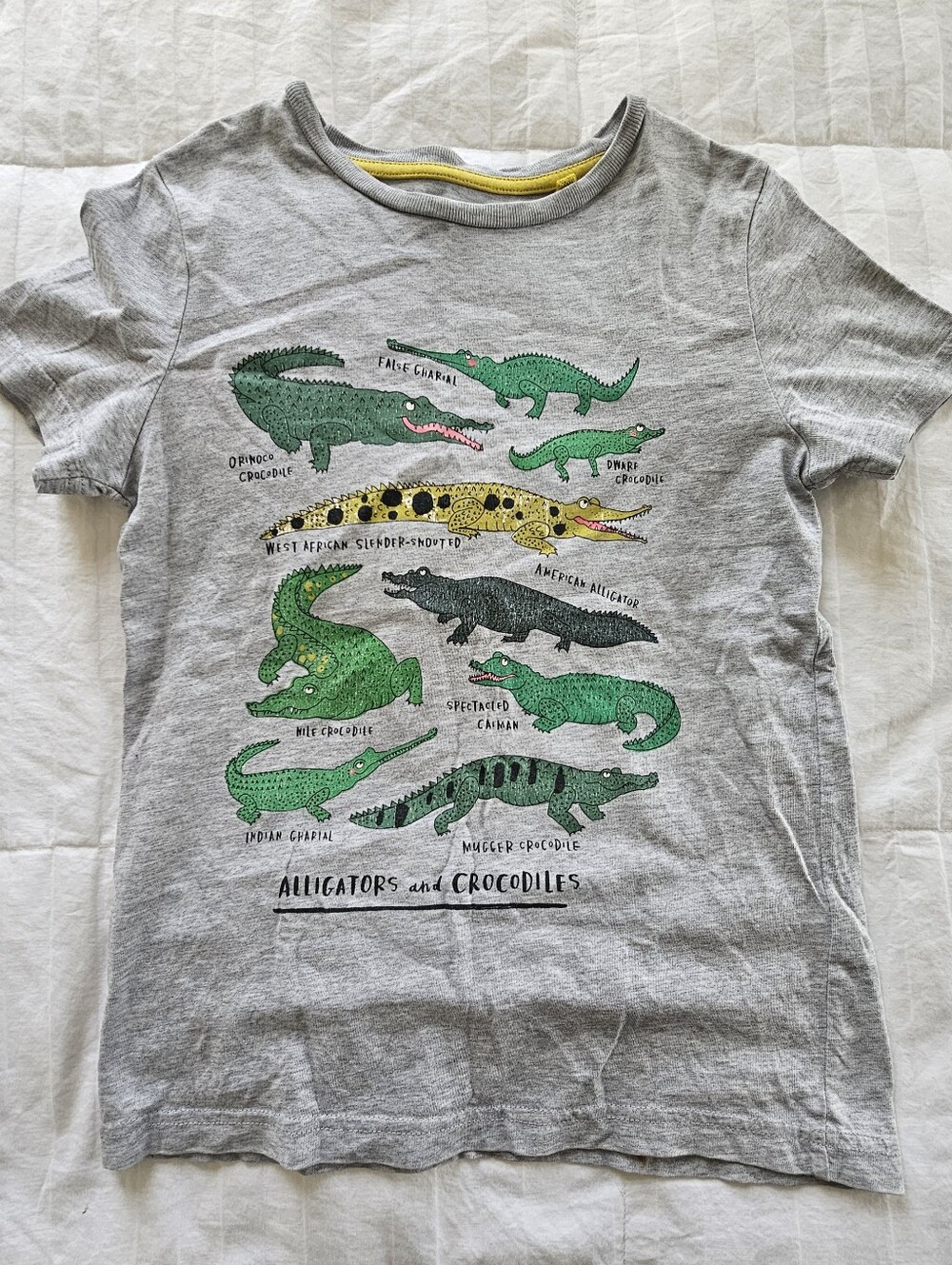 Mini Boden Alligator And Crocodile Graphic T-Shirt, Size 8-9